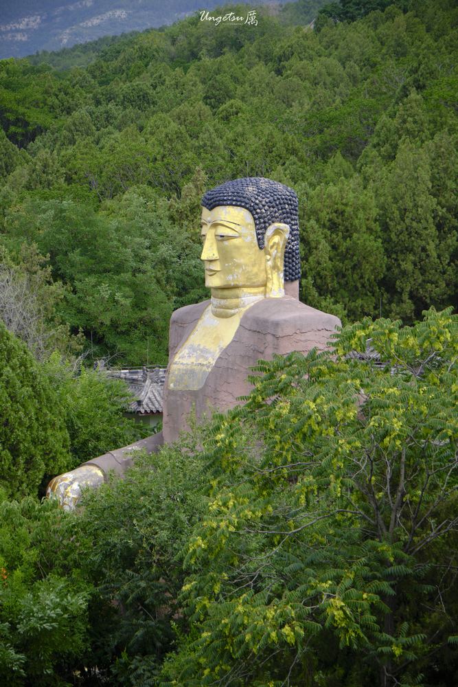 泉城尾声 29