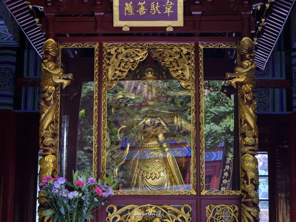 泉城尾声 41