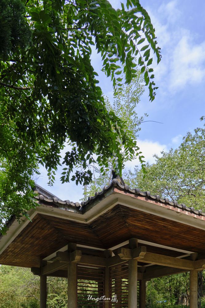 泉城尾声 57
