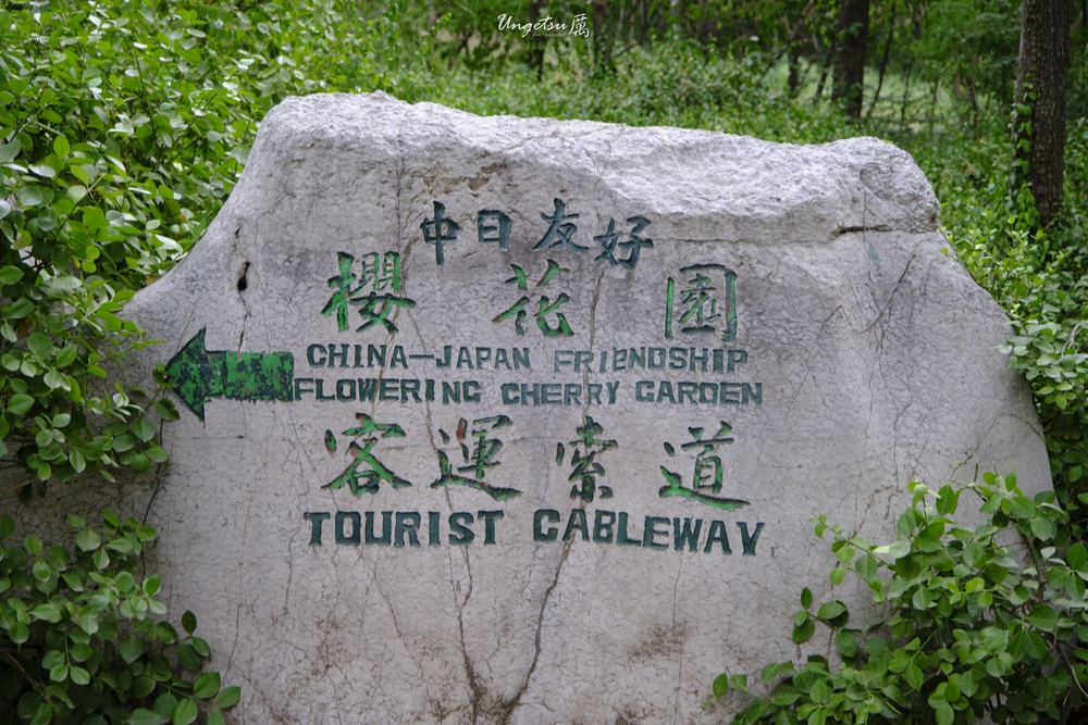 泉城尾声 58
