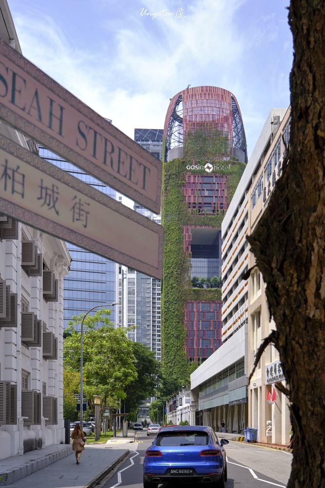 Glimpse of Chinatown 4