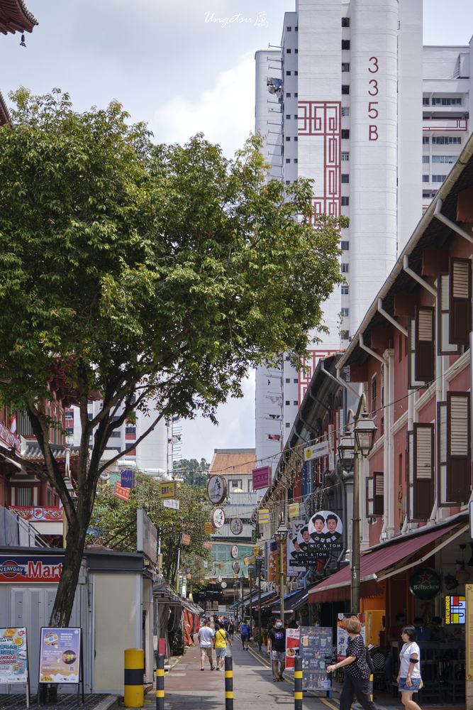 Glimpse of Chinatown 6