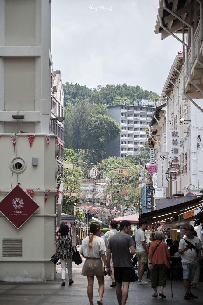 Glimpse of Chinatown 16