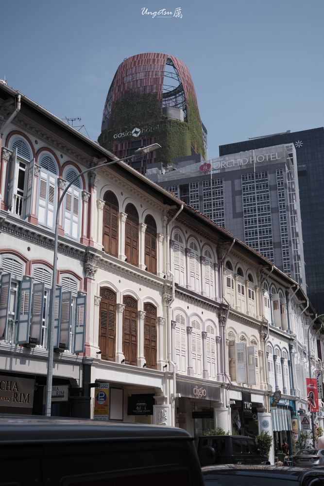 Glimpse of Chinatown 30