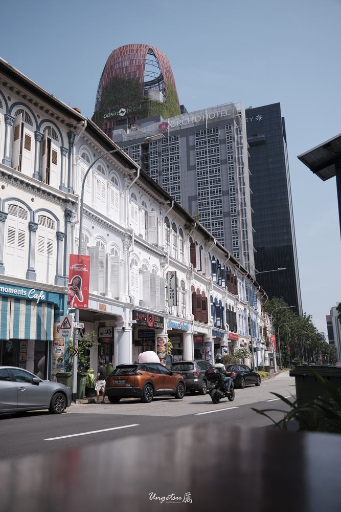 Glimpse of Chinatown 31
