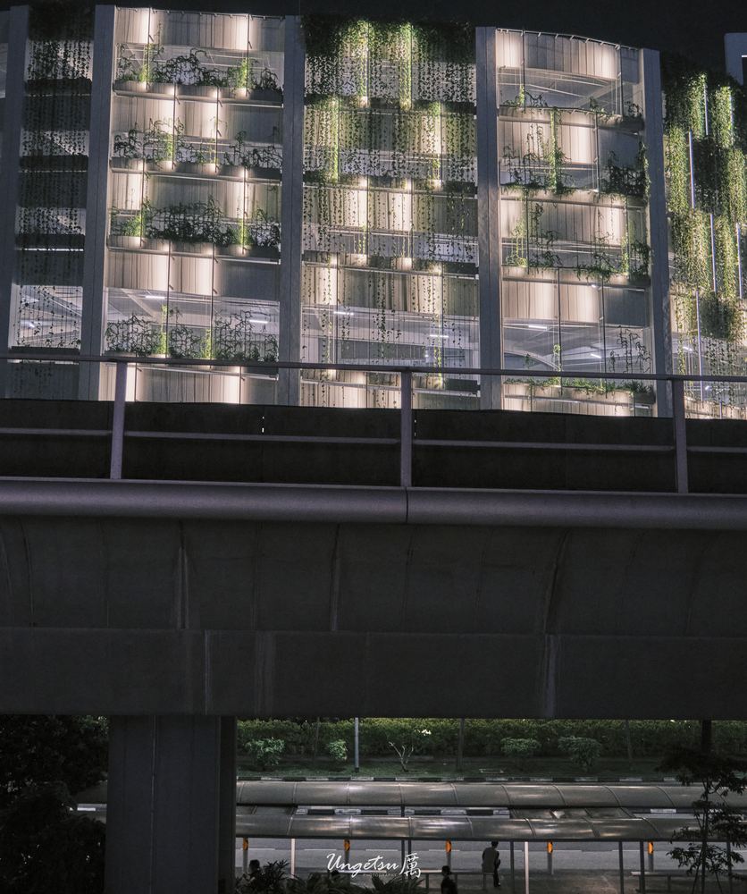 Nanyang Routines 9