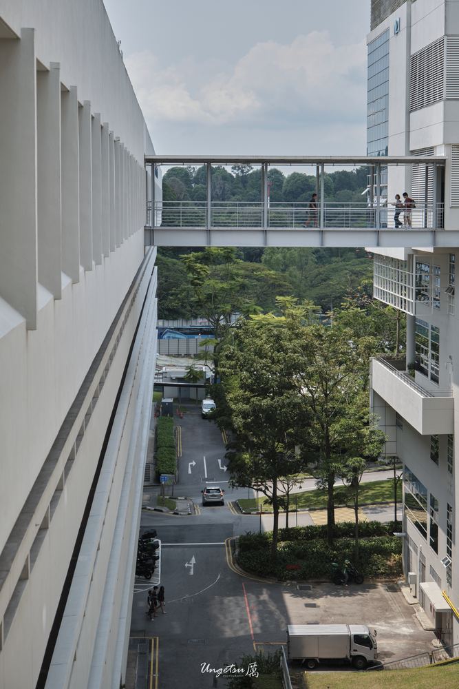 Nanyang Routines 10