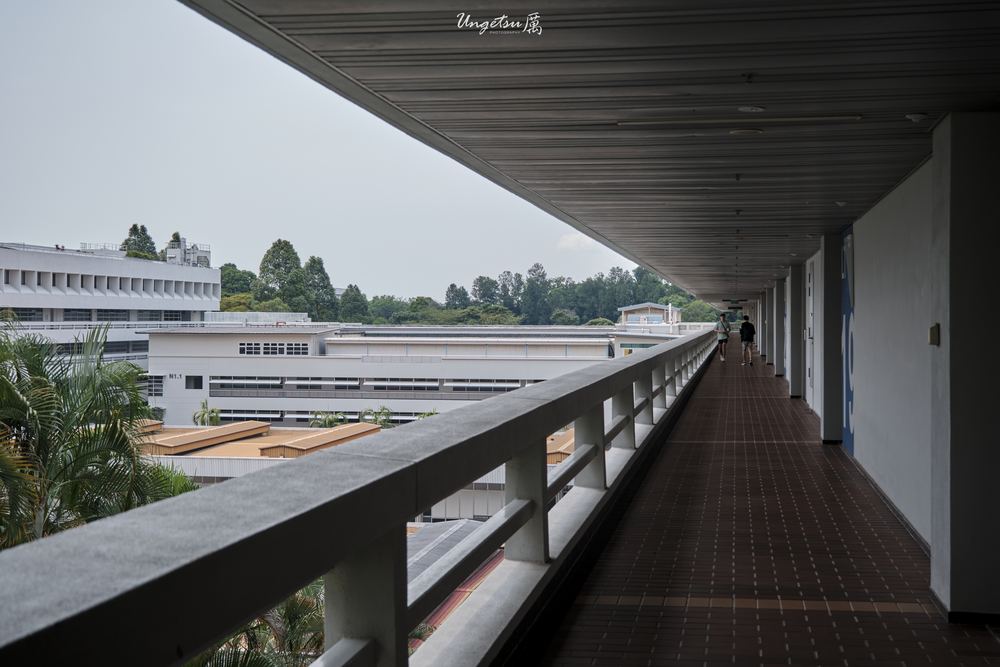 Nanyang Routines 11
