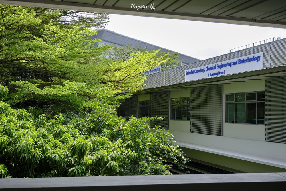 Nanyang Routines 13