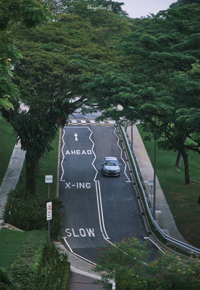 Nanyang Routines 17