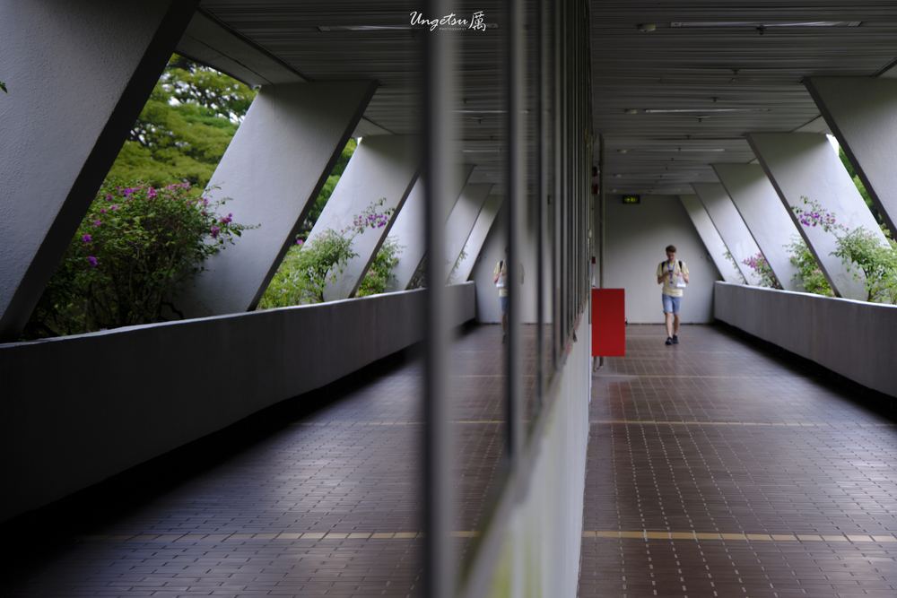 Nanyang Routines 18