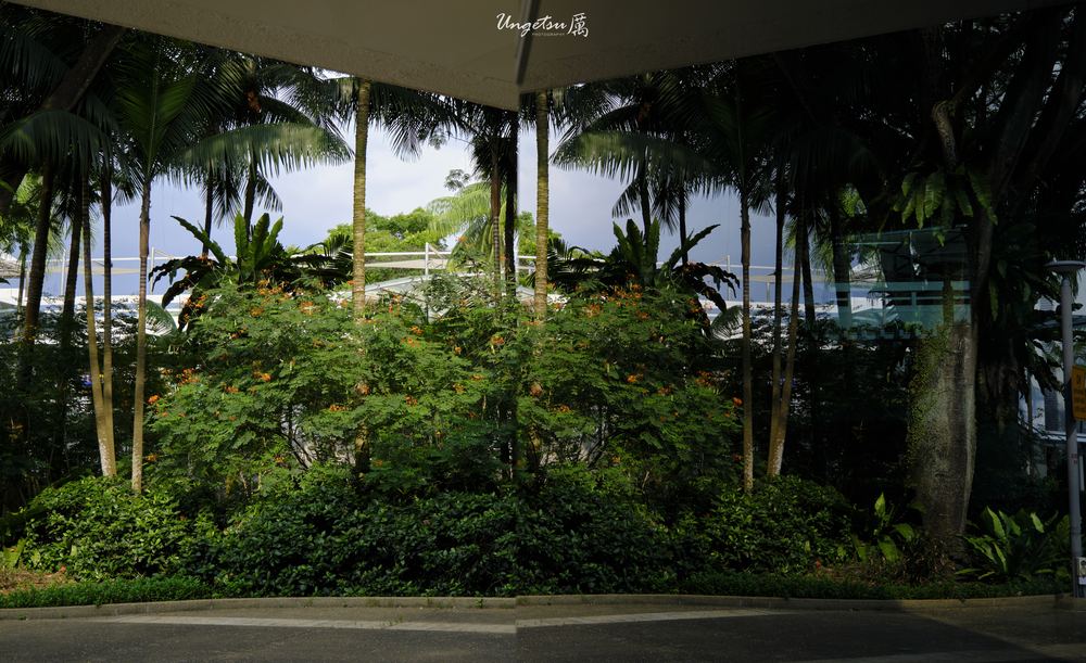 Nanyang Routines 25