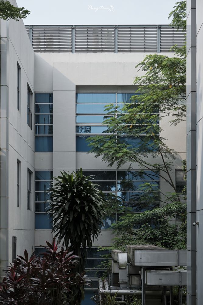 Nanyang Routines 26