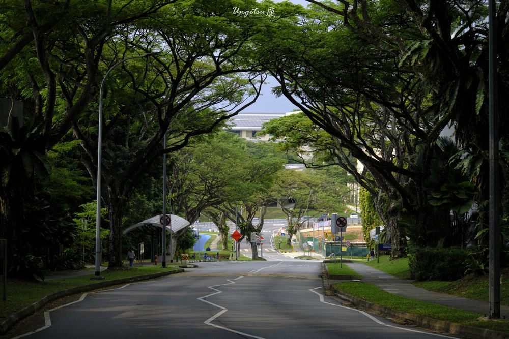 Nanyang Routines 27
