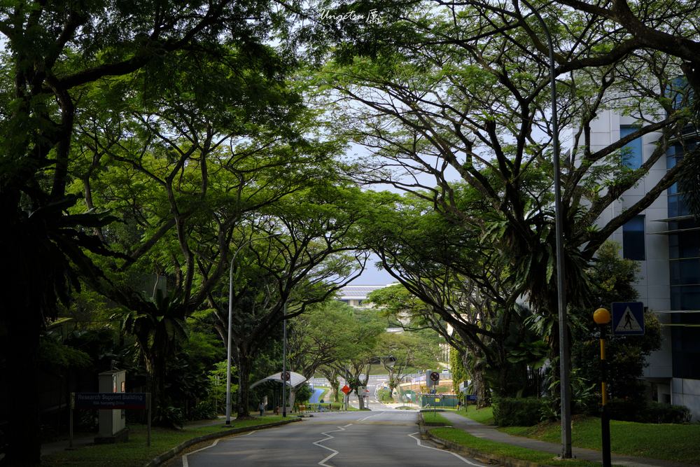 Nanyang Routines