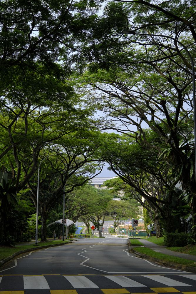 Nanyang Routines 29