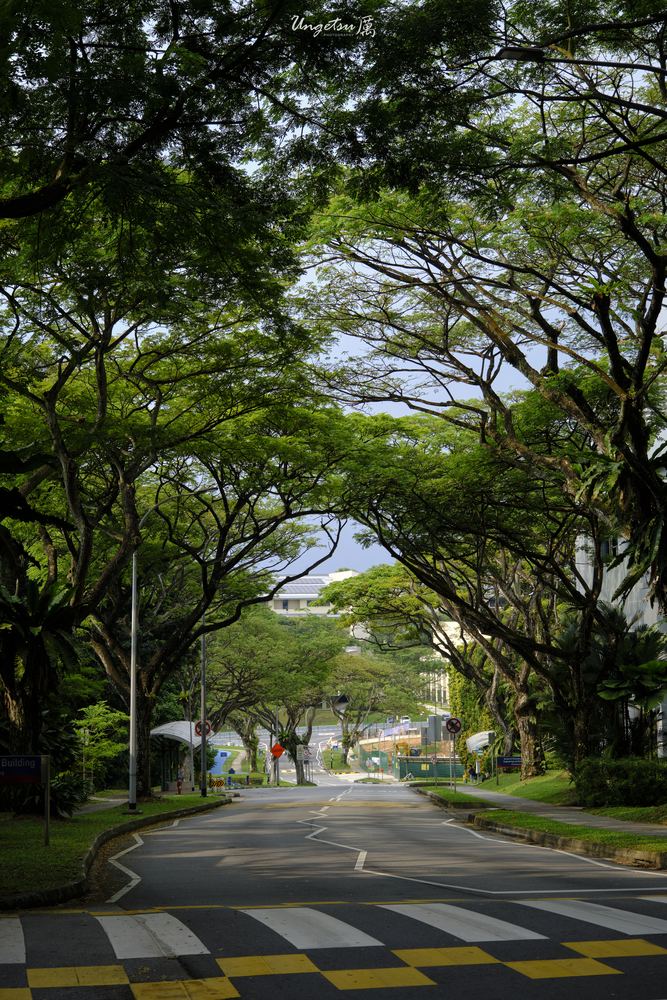 Nanyang Routines 30