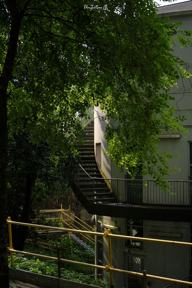 Nanyang Routines 31
