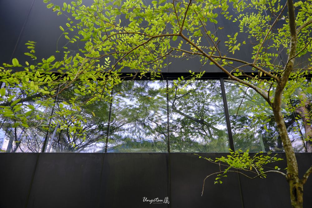 Nanyang Routines 36