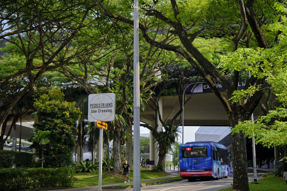 Nanyang Routines 37