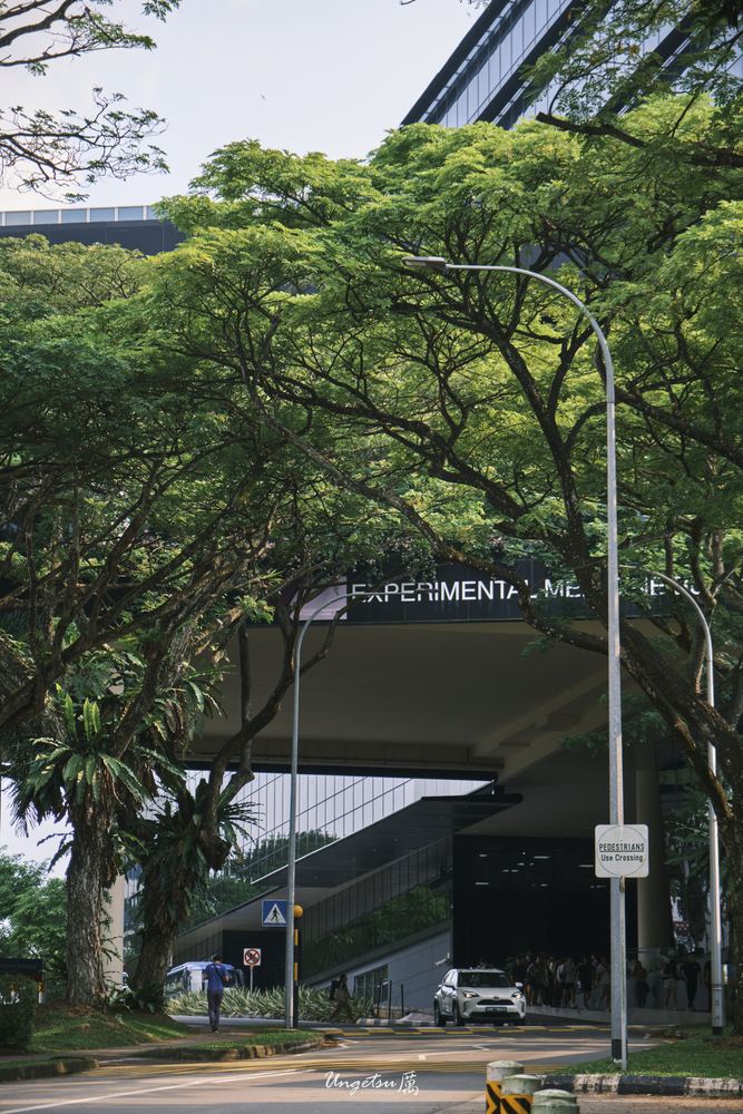 Nanyang Routines 38