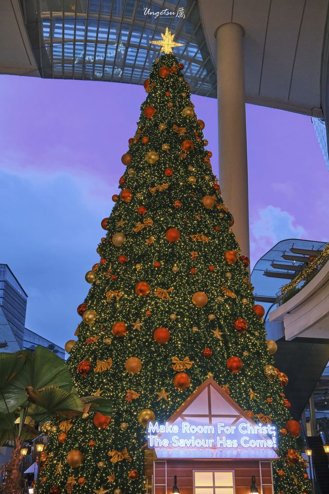 Star Vista Christmas 11