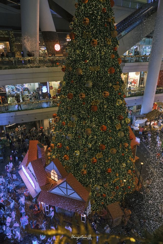 Star Vista Christmas 13