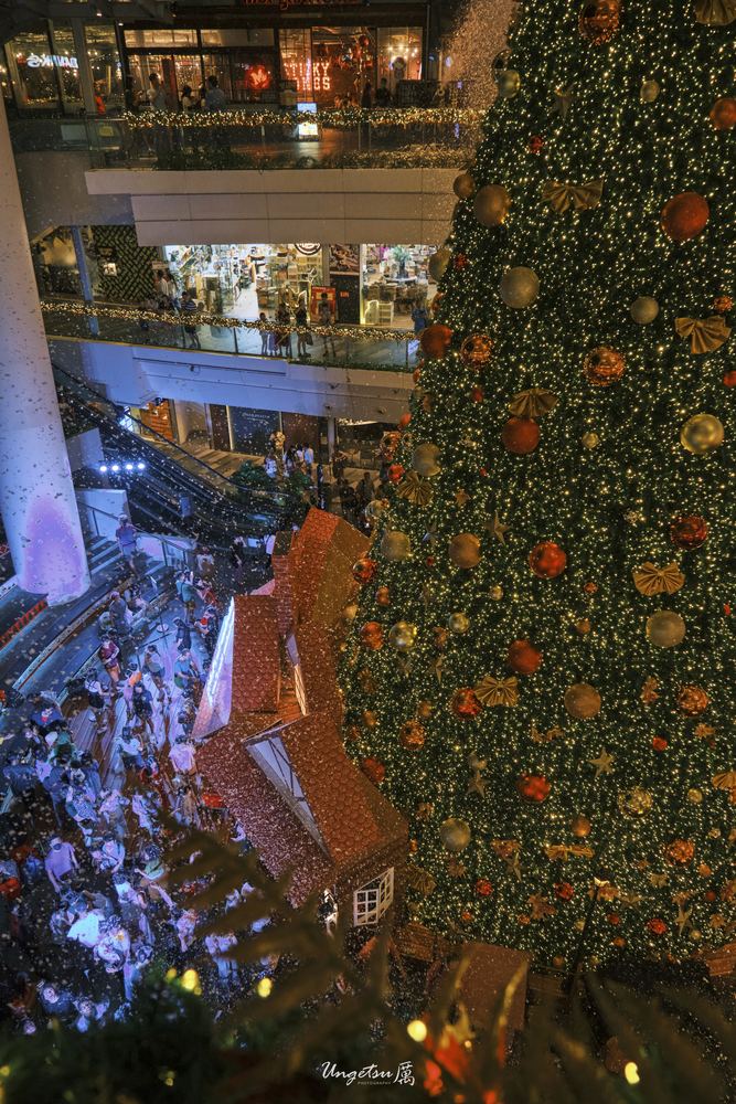 Star Vista Christmas 14