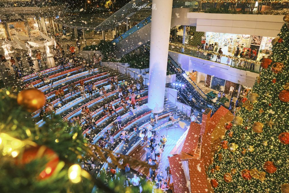 Star Vista Christmas