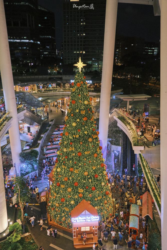 Star Vista Christmas 17