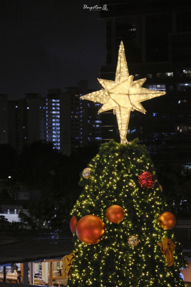 Star Vista Christmas 27