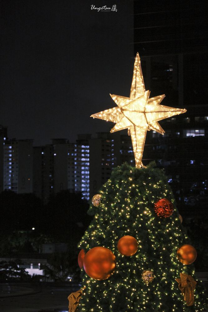 Star Vista Christmas 28