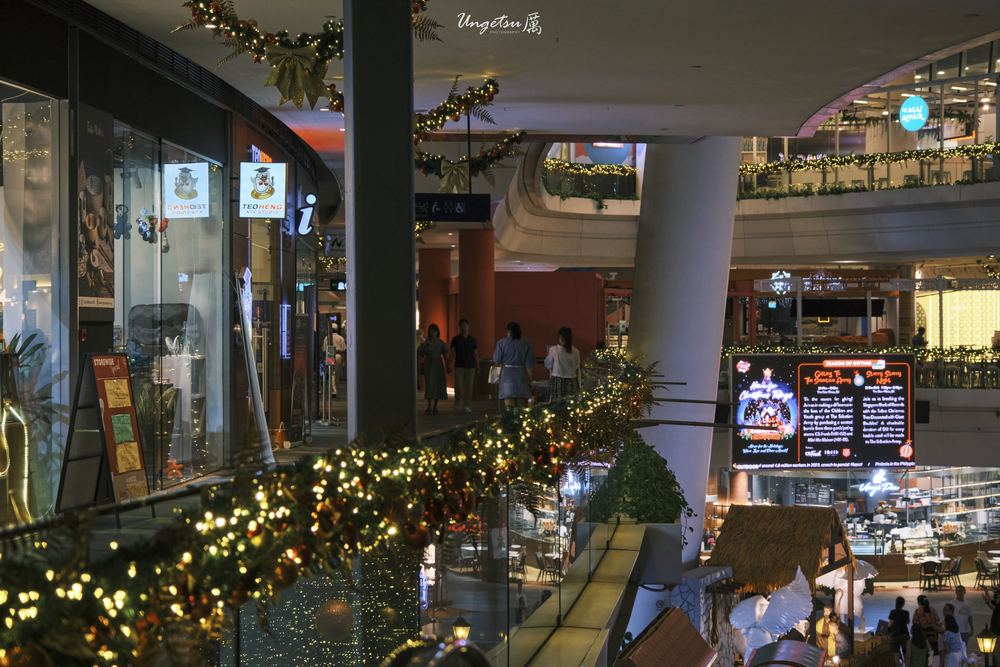 Star Vista Christmas 30
