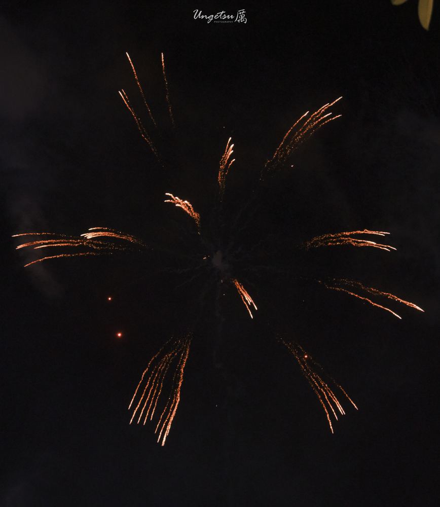 Marina Bay Fireworks 23