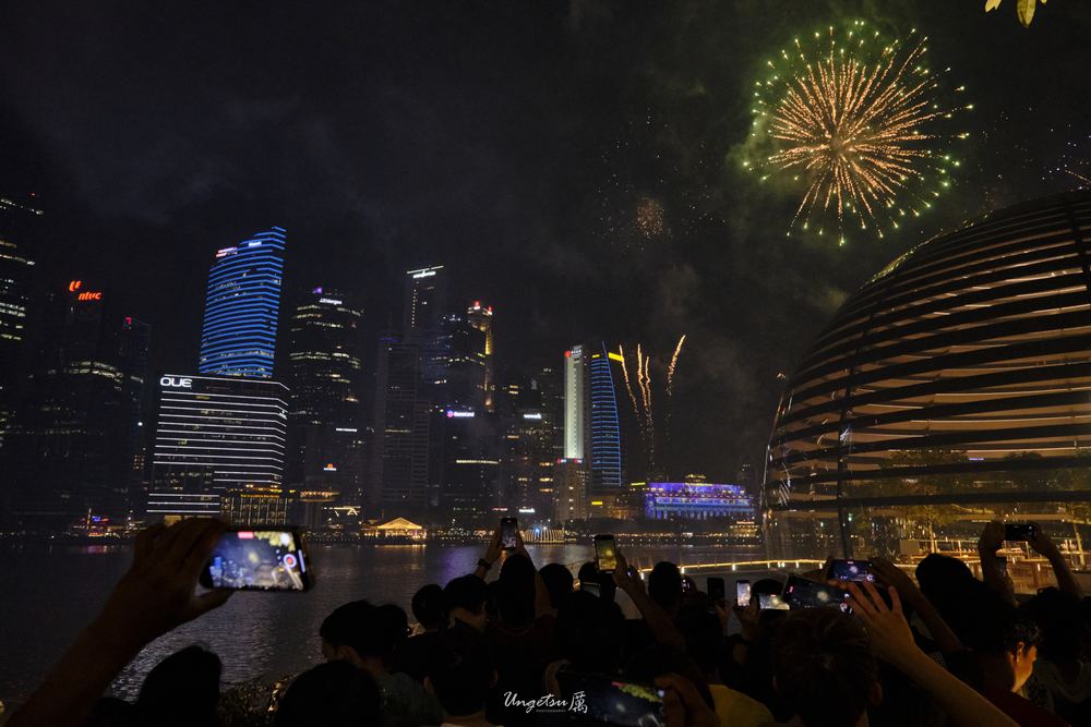 Marina Bay Fireworks 26