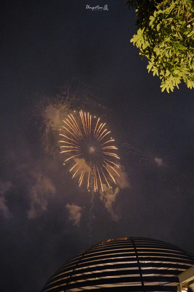 Marina Bay Fireworks 29