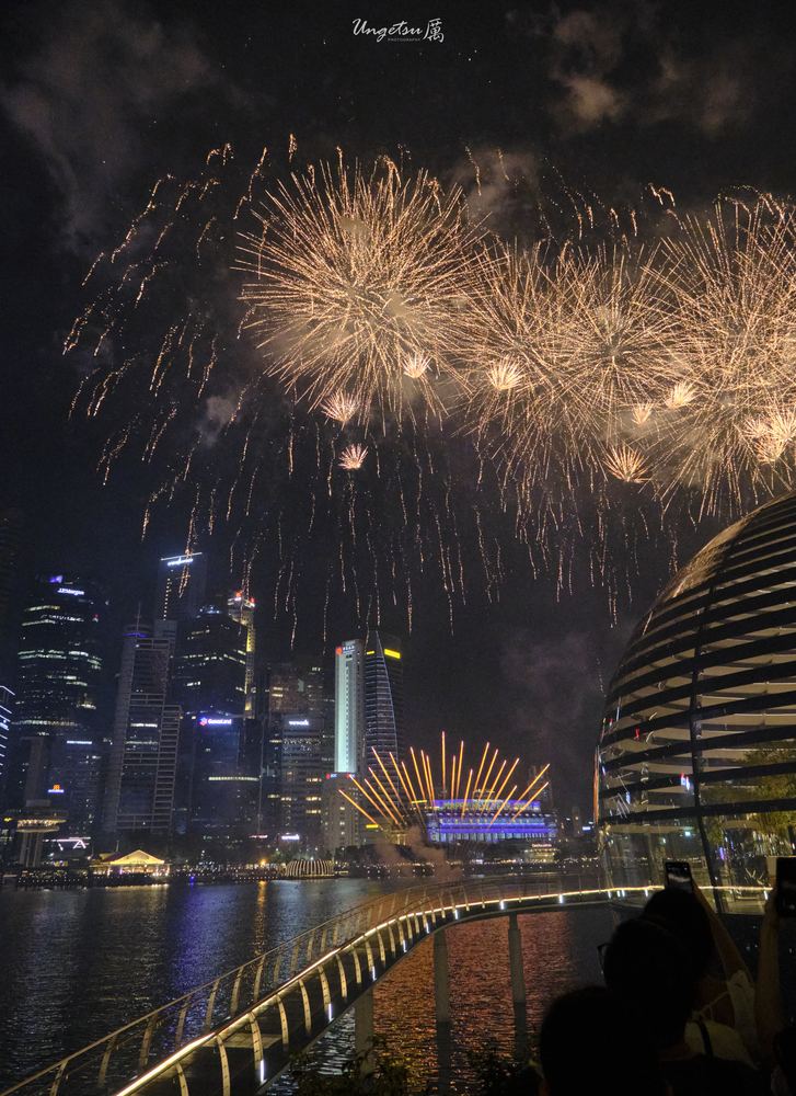 Marina Bay Fireworks 32