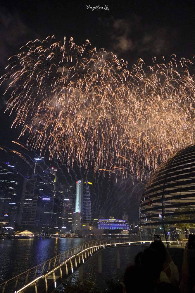 Marina Bay Fireworks 35