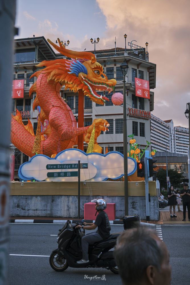 Chinatown New Year 8