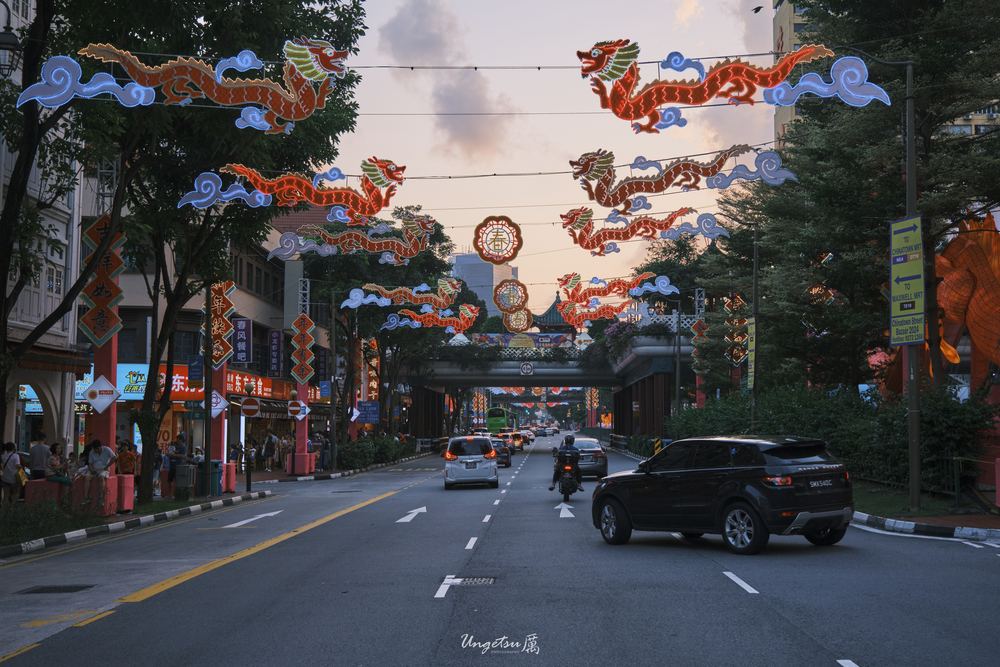 Chinatown New Year 9