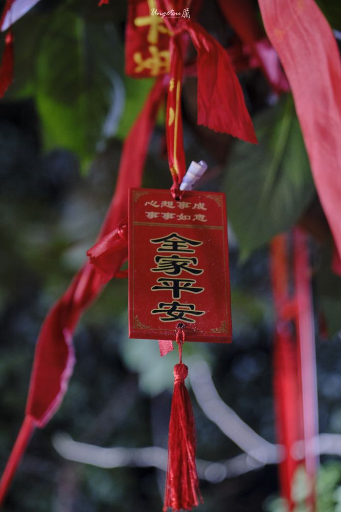 泰山日出 11