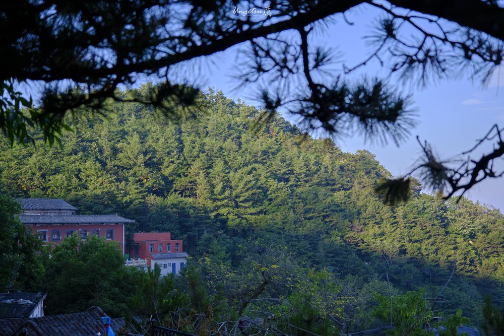 泰山日出 70