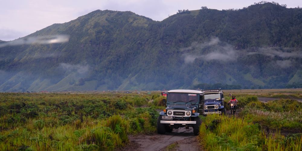Mount Bromo 19
