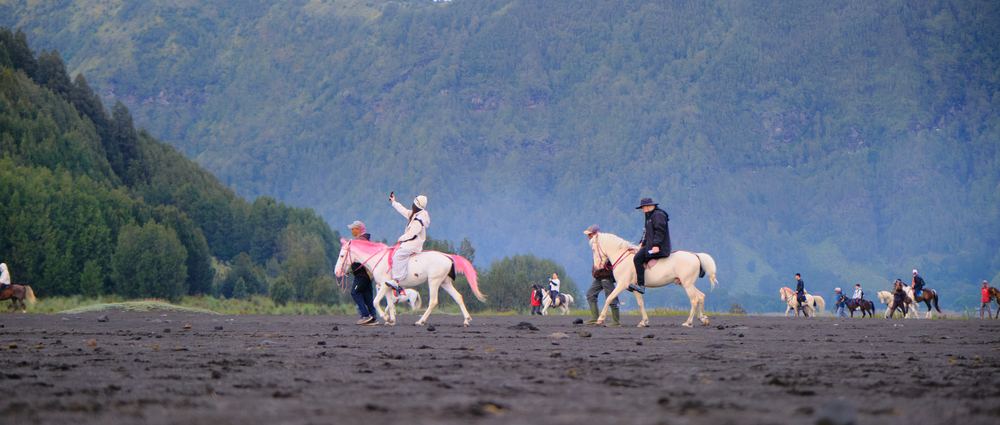 Mount Bromo 21