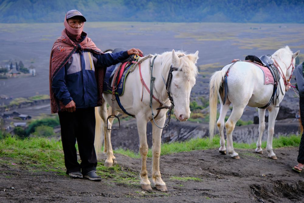 Mount Bromo 27