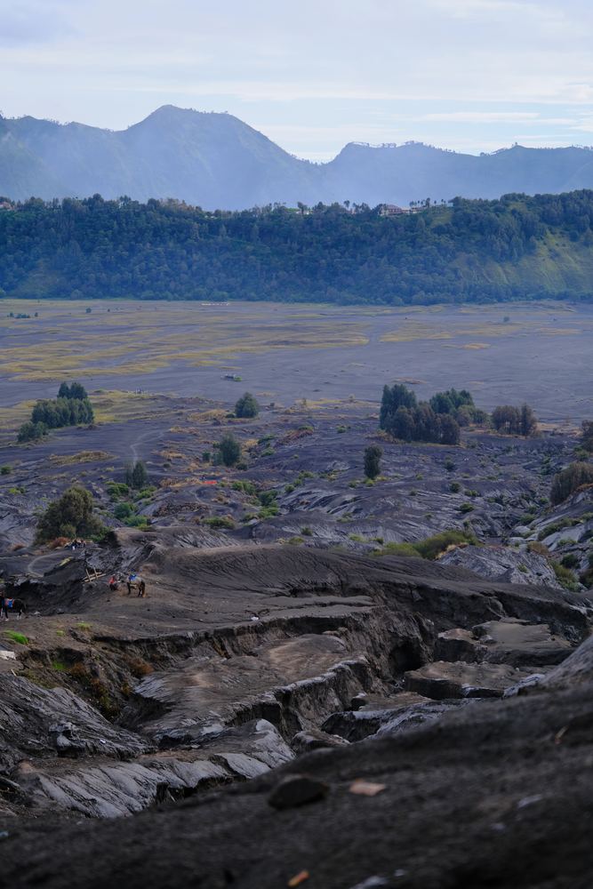 Mount Bromo 29
