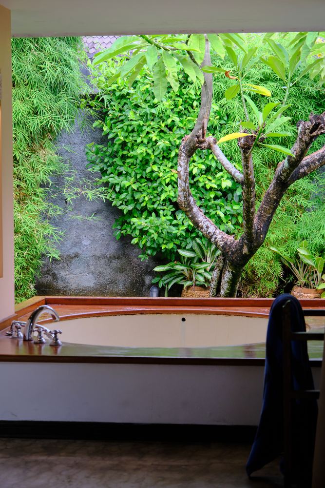 Ubud 1