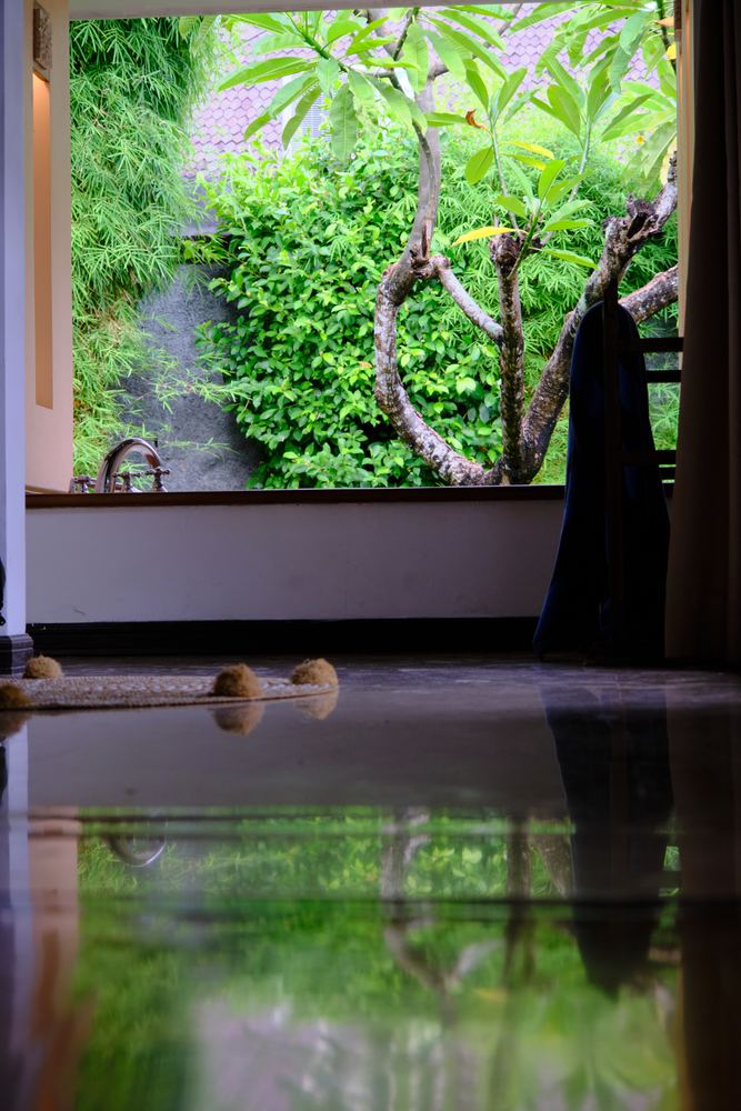 Ubud 2