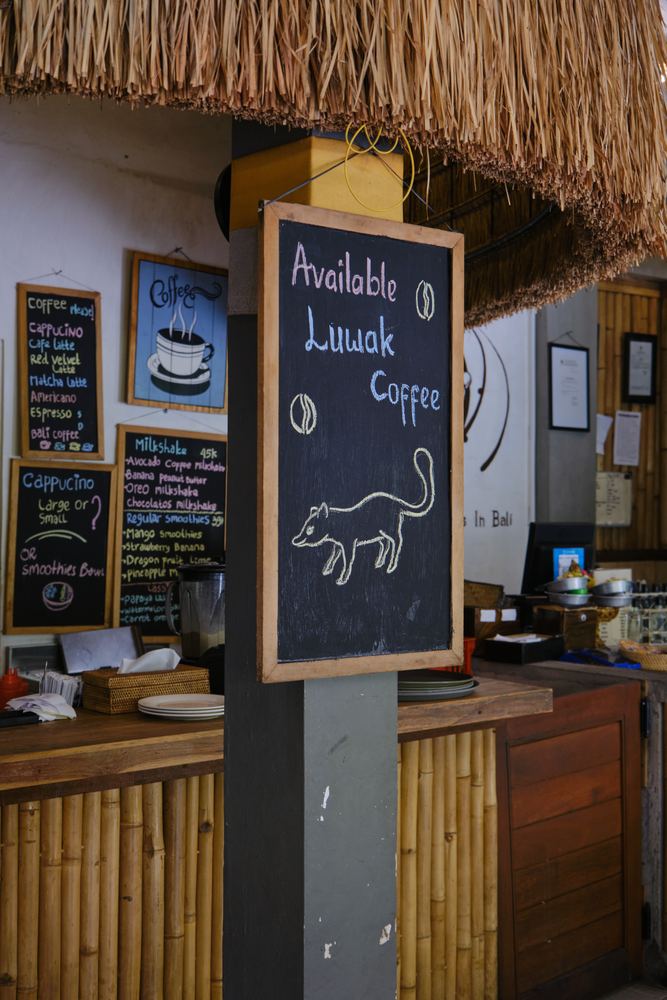 Ubud 12