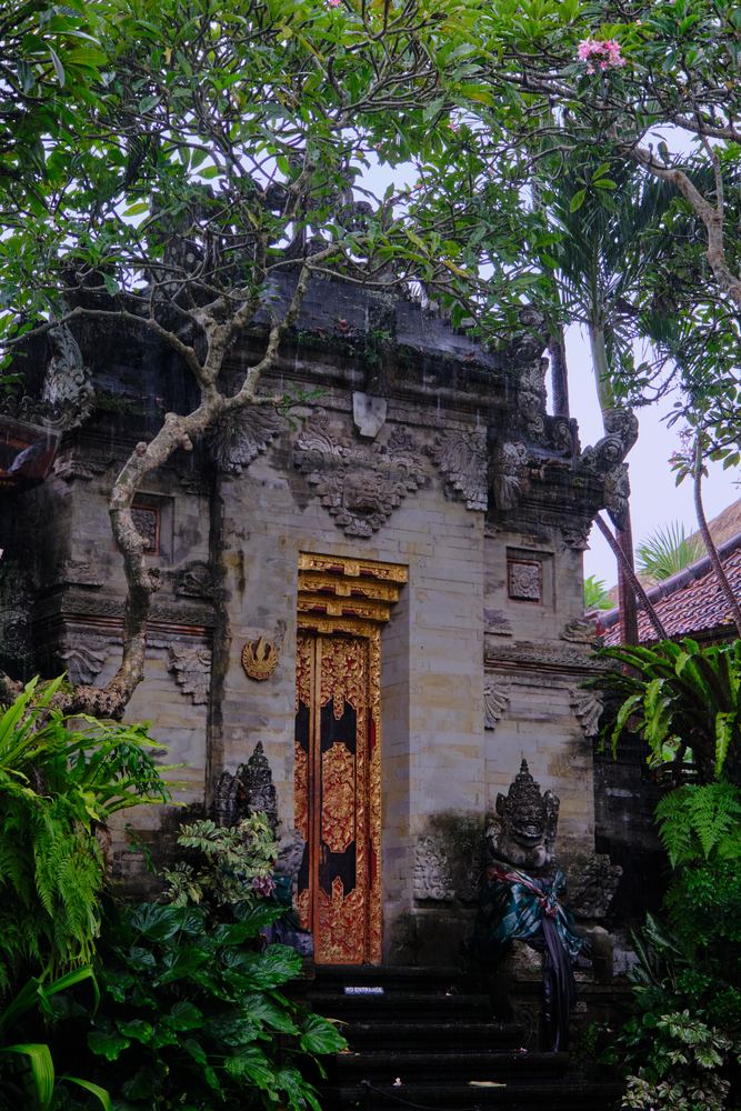 Ubud 31